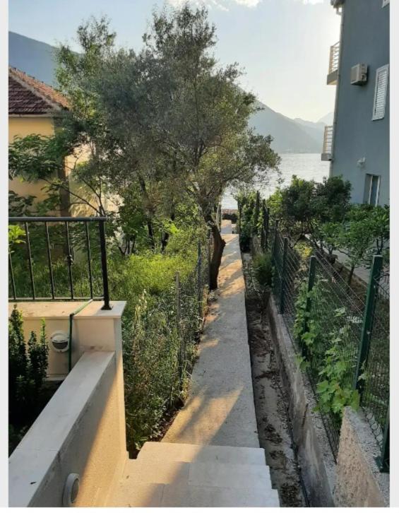 Apartments Boka Blue Dobrota Kotor Buitenkant foto
